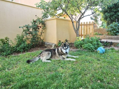 Apartment Three bedroom apartment with terrace and sea view Polje, Krk A-18669-c - Outdoor photo 9