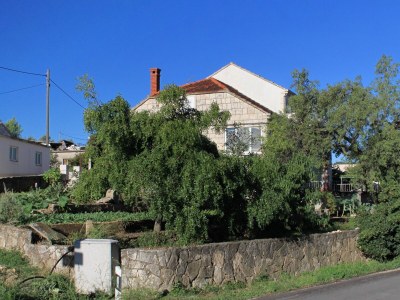 Holiday room (pet friendly) Lumbarda, Korčula S-9299-b - Outdoor photo 5