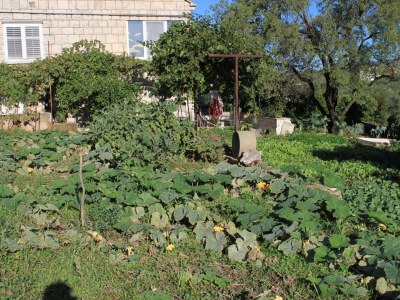 Holiday room (pet friendly) Lumbarda, Korčula S-9299-b - Outdoor photo 7