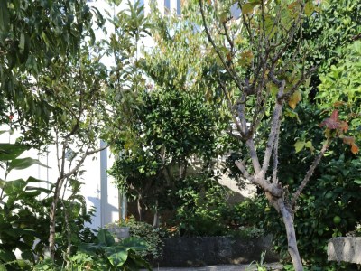 Apartment Two bedroom apartment near beach Rogoznica A-10338-c - Outdoor photo 7