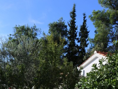 Apartment Two bedroom apartment near beach Rogoznica A-10338-c - Outdoor photo 9