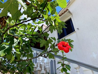 Apartment One bedroom apartment with terrace and sea view Šilo, Krk A-18756-b - Outdoor photo 7