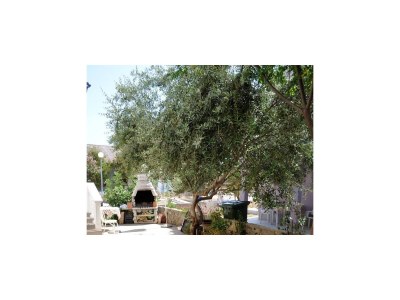 Apartment Studio flat with balcony Vir AS-13686-a - Outdoor photo 5