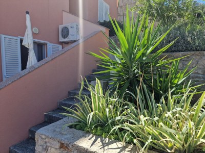 Apartment Apartments by the sea Sali, Dugi otok - 19880 - Apartments by the sea Sali, Dugi otok - 19880 - Outdoor photo 22