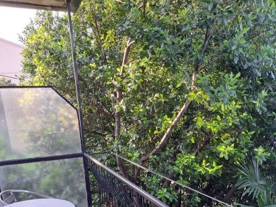 Apartment Four-bedroom apartment with terrace and sea view Crikvenica A-20724-a - Outdoor photo 32