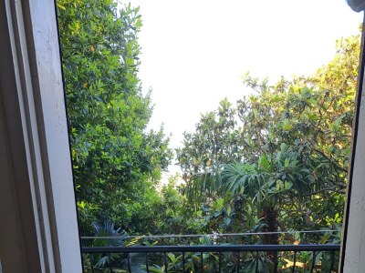 Apartment Four-bedroom apartment with terrace and sea view Crikvenica A-20724-a - Outdoor photo 33