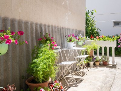 Apartment Two bedroom apartment with terrace Zadar A-21958-a - Outdoor photo 7