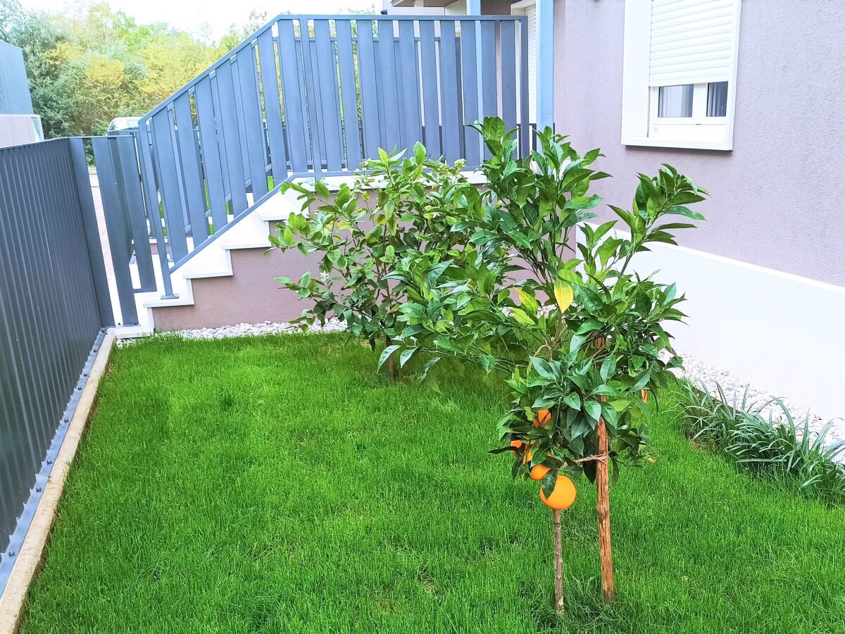 Apartment Two bedroom apartment with terrace Poreč A-24316-a - Outdoor photo 4