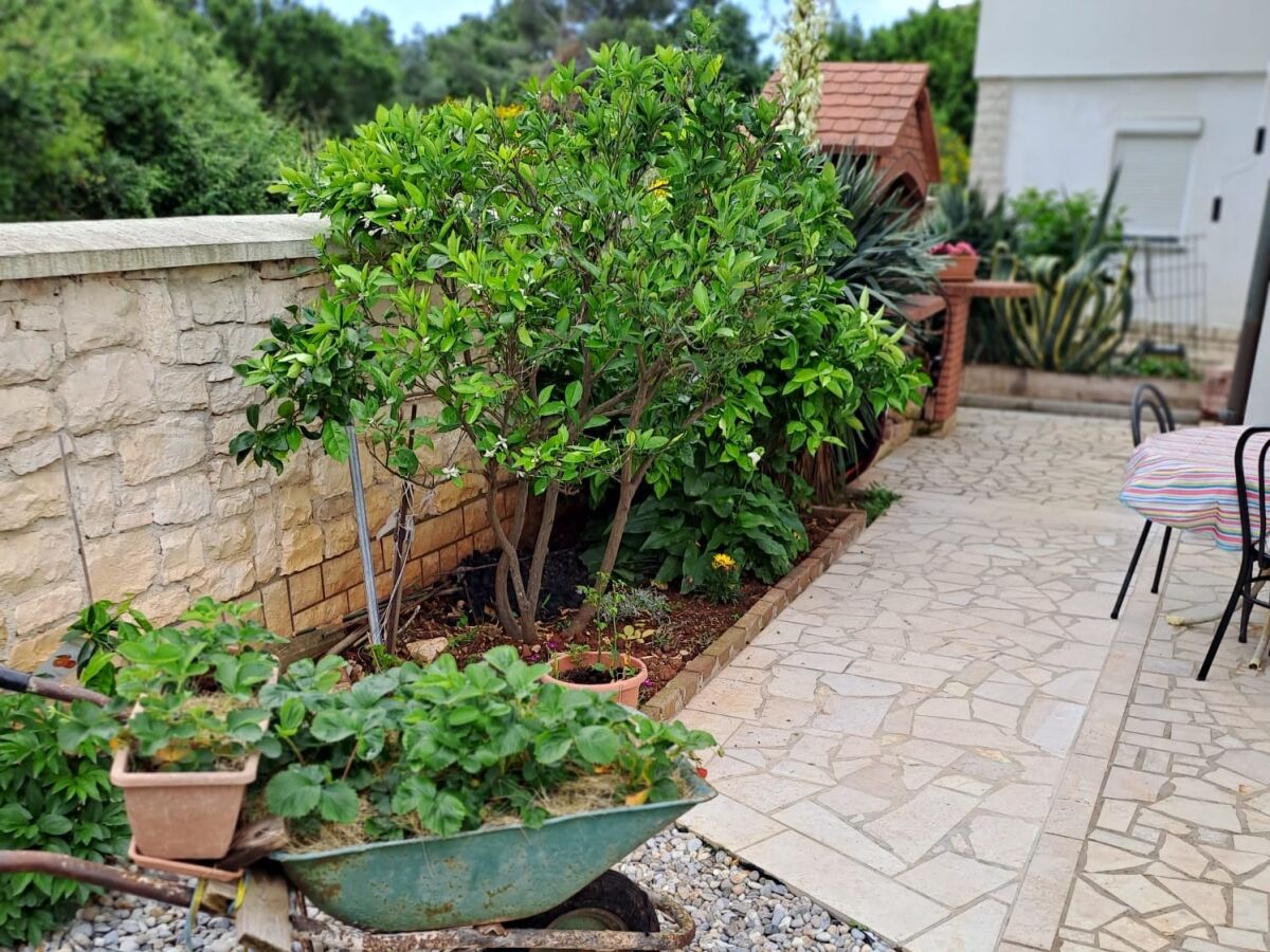 Apartment One bedroom apartment with terrace Medulin A-24576-b - Outdoor photo 5