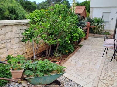 Apartment One bedroom apartment with terrace Medulin A-24576-b - Outdoor photo 5