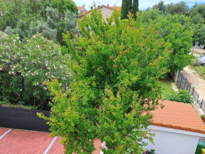 Apartment One bedroom apartment with balcony Medulin A-24576-d - Outdoor photo 20