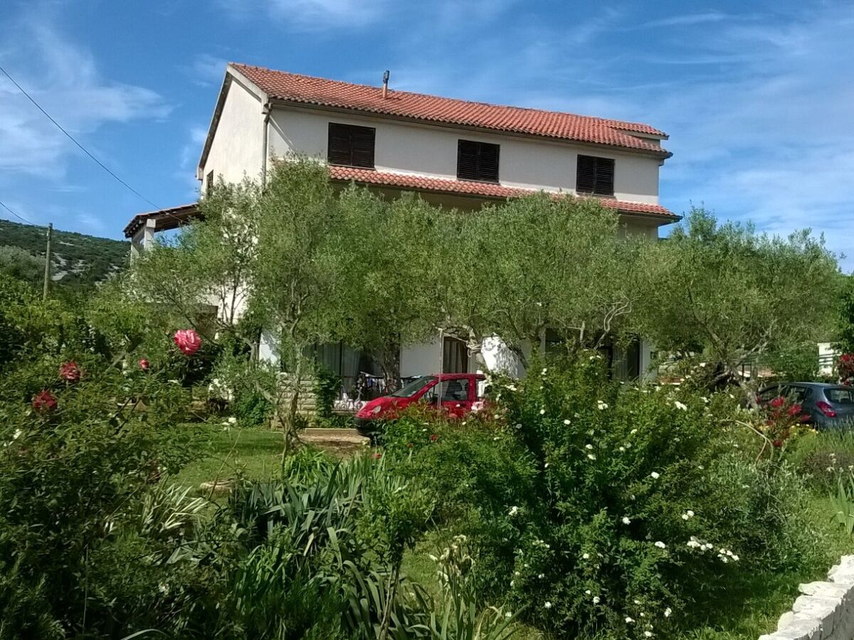 Apartment Two bedroom apartment with terrace and sea view Tkon, Pašman A-16275-a