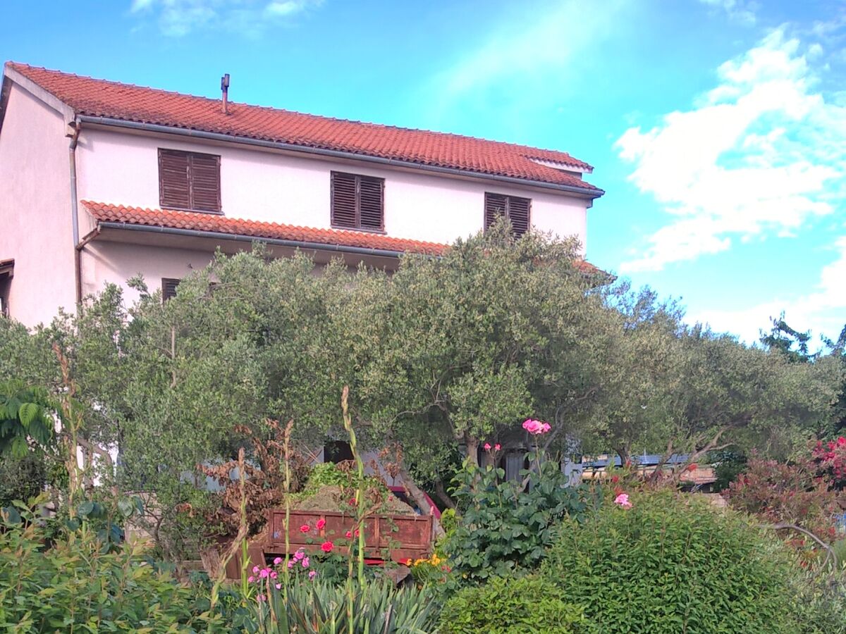 Apartment Two bedroom apartment with terrace and sea view Tkon, Pašman A-16275-a - Outdoor photo 4