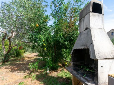 Apartment Two bedroom apartment with terrace and sea view Tkon, Pašman A-16275-a - Outdoor photo 5