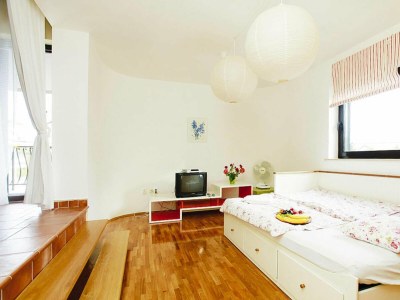 Holiday park Apartment in Jadranovo with balcony - Features photo 7