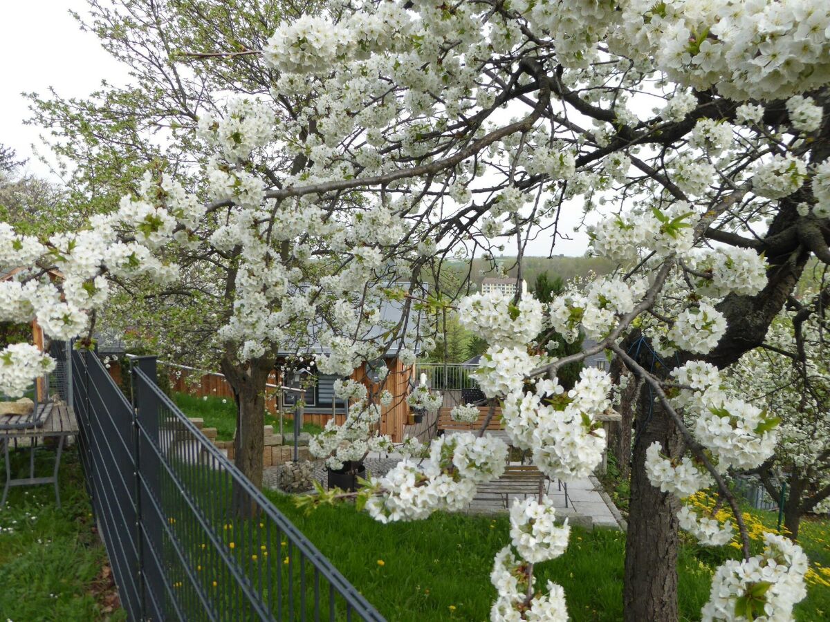 Holiday house Holiday Home in Thale - Neinstedt