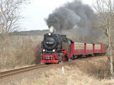 Holiday house Holiday Home in Thale - Neinstedt - Environment photo 32