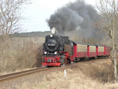 Holiday house Holiday Home in Thale - Neinstedt - Environment photo 36