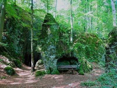 Holiday house Holiday Home in Birresborn with balcony - Environment photo 26