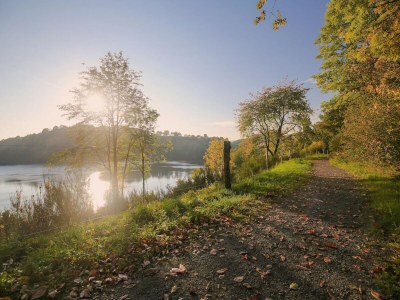 Holiday house Holiday Home in Birresborn with balcony - Environment photo 31