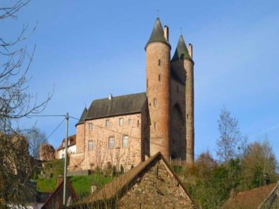 Holiday house Holiday Home in Birresborn with balcony - Environment photo 34