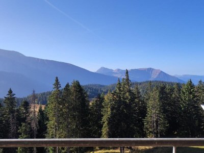 Apartment Cozy Stay with Alpine Views - Environment photo 33