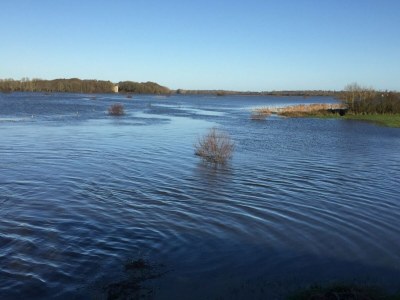 Holiday house Holiday home in Houtteville with garden - Environment photo 20