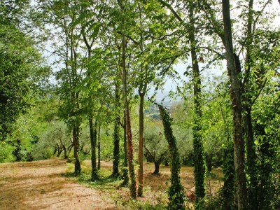 Holiday park Ferienhaus in Fano mit privatem Pool - Outdoor photo 5
