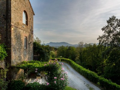 Villa Tuscan style farmhouse in Capannori - Outdoor photo 37