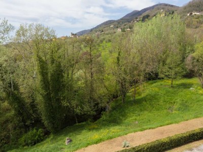 Villa Tuscan style farmhouse in Capannori - Outdoor photo 63