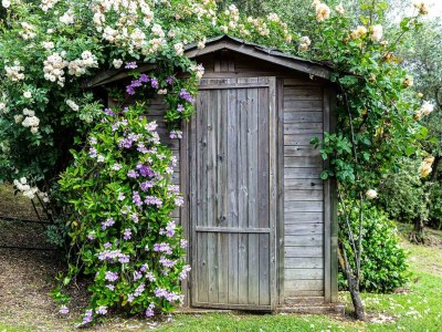 Villa Tuscan style farmhouse in Capannori - Outdoor photo 100