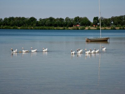 Holiday park Schwanzwedelnde Flucht zum See - Environment photo 14