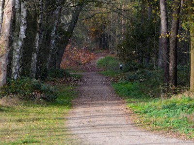 Holiday park Schwanzwedelnde Flucht zum See - Environment photo 16