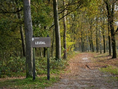 Holiday park Schwanzwedelnde Flucht zum See - Environment photo 20