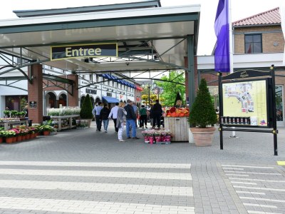 Holiday park Schwanzwedelnde Flucht zum See - Environment photo 21