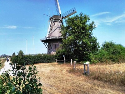 Holiday park Cozy 6-person lodge by the fishing pond. - Environment photo 14