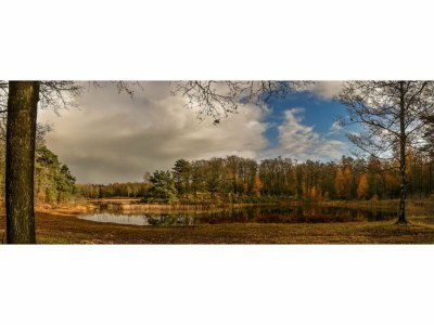 Holiday park 6-person holiday home for relaxing retreat. - Environment photo 21