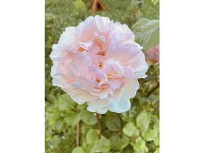 Apartment Appartement/Fewo, Dusche, WC, 2 Schlafräume - Outdoor photo 4