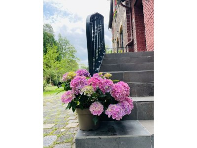 Apartment Appartement/Fewo, Dusche, WC, 2 Schlafräume - Outdoor photo 5