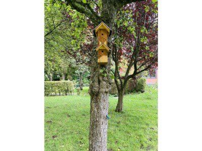 Apartment Appartement/Fewo, Dusche, WC, 2 Schlafräume - Outdoor photo 20