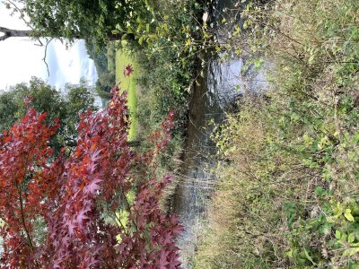 Apartment Appartement/Fewo, Dusche, WC, 2 Schlafräume - Outdoor photo 21