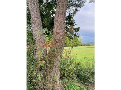 Apartment Appartement/Fewo, Dusche, WC, 2 Schlafräume - Outdoor photo 27