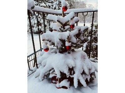 Apartment Appartement/Fewo, Dusche, WC, 2 Schlafräume - Outdoor photo 48