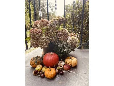 Apartment Appartement/Fewo, Dusche, WC, 2 Schlafräume - Outdoor photo 55