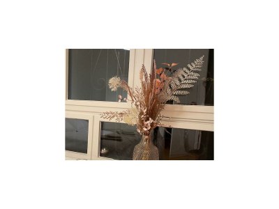 Apartment Appartement/Fewo, Dusche, WC, 2 Schlafräume - Outdoor photo 61