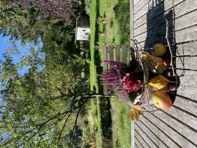 Apartment Appartement/Fewo, Dusche, WC, 2 Schlafräume - Outdoor photo 65