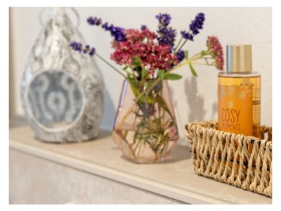 Apartment Ferienwohnung Dusche und Bad/WC, 2 Schlafräume - Features photo 16