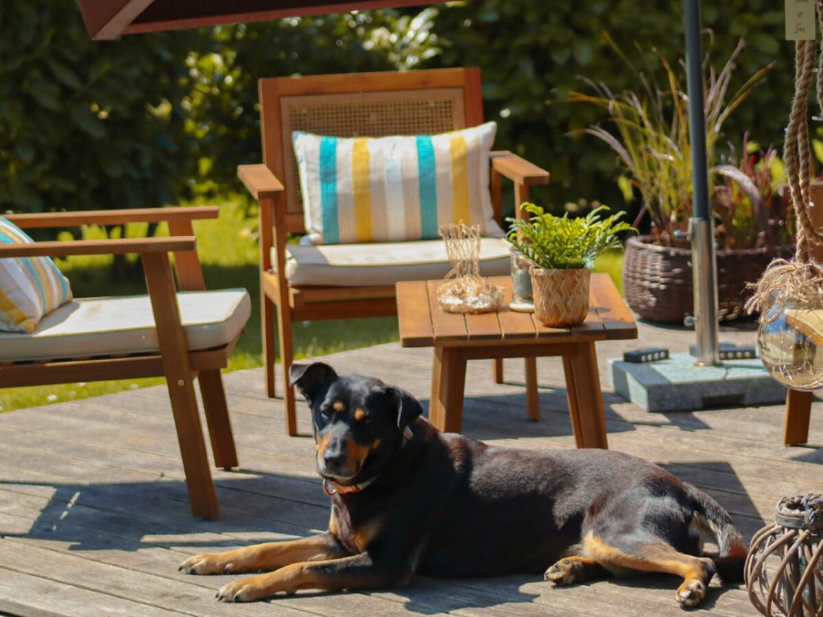 Holiday house Ferienhaus Kiek in Glücksburg