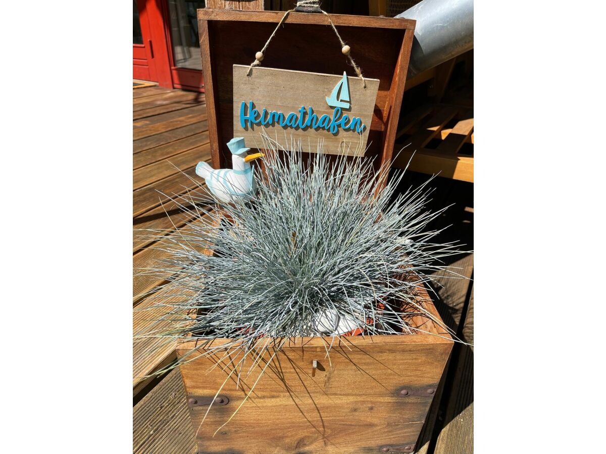 Holiday house Ferienhaus Kiek in Glücksburg - Outdoor photo 4