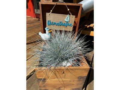 Holiday house Ferienhaus Kiek in Glücksburg - Outdoor photo 4